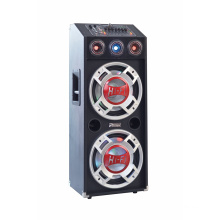 Professional DJ Stage Speaker E22